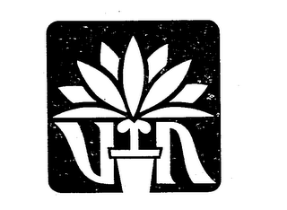V N logo