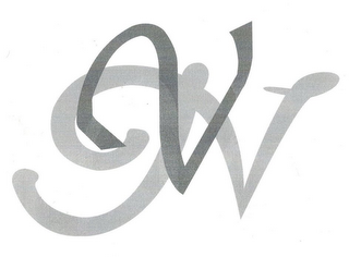 V N logo