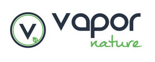 V N VAPOR NATURE logo
