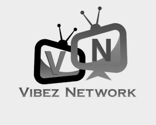 V N VIBEZ NETWORK logo