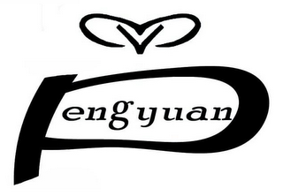 V PENGYUAN logo