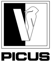 V PICUS logo