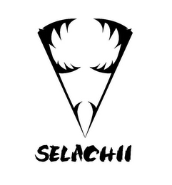 V SELACHII logo