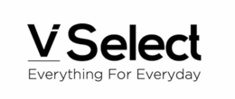 V SELECT EVERYTHING FOR EVERYDAY logo
