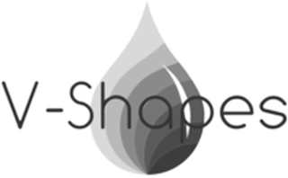 V-SHAPES logo
