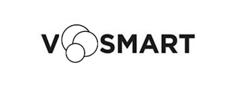 V SMART logo