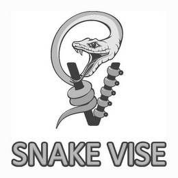 V SNAKE VISE logo