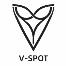 V-SPOT V logo