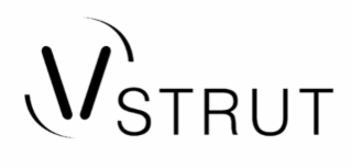 V-STRUT logo