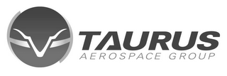 V TAURUS AEROSPACE GROUP logo