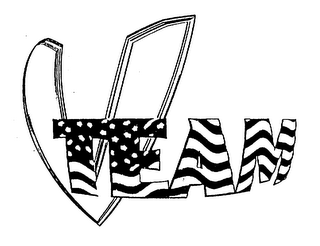 V TEAM logo