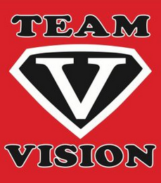 V TEAM VISION logo