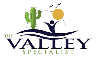 V THE VALLEY SPECIALIST logo