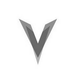 V V logo