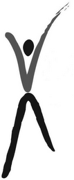 V V logo