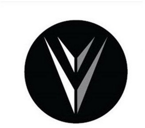 V V logo