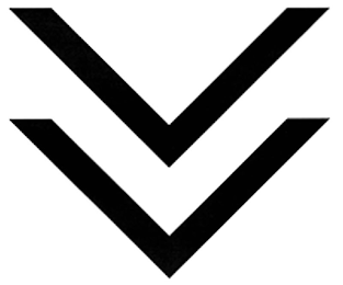 V V logo