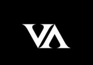 V V logo