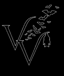 V V logo