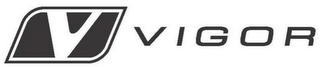 V  V I G O R logo