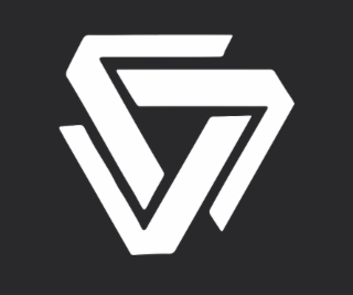 V V V logo