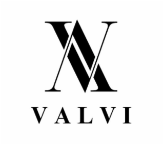 V V VALVI logo