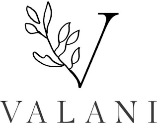 V VALANI logo