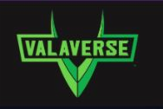 V VALAVERSE logo