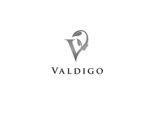 V VALDIGO logo