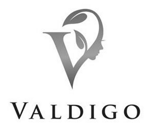 V VALDIGO logo