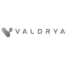 V VALDRYA logo