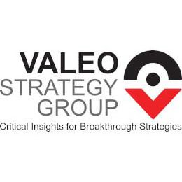 V VALEO STRATEGY GROUP CRITICAL INSIGHTS FOR BREAKTHROUGH STRATEGIES logo