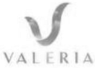 V VALERIA logo