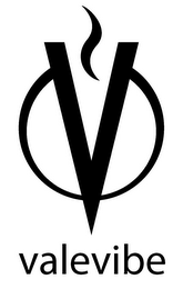 V VALEVIBE logo