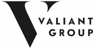V VALIANT GROUP logo