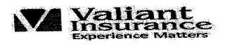 V VALIANT INSURANCE EXPERIENCE MATTERS logo