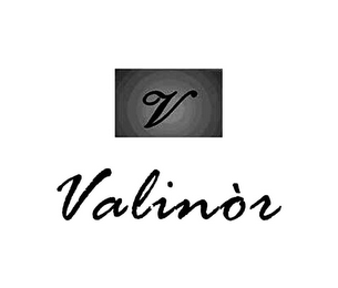 V VALINOR logo