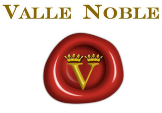 V VALLE NOBLE logo