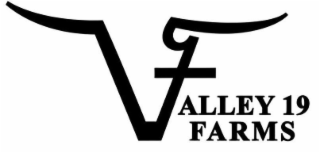 V VALLEY 19 FARMS logo