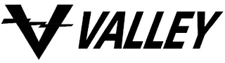 V VALLEY logo