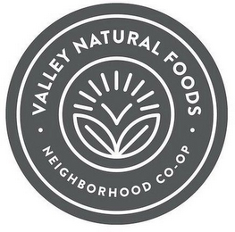 V VALLEY NATURAL FOODS · NEIGHBORHOOD CO-OP · logo