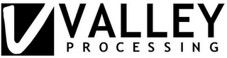 V VALLEY PROCESSING logo