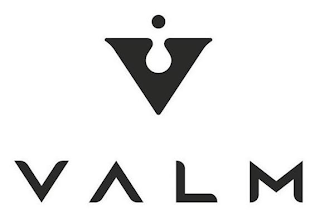 V VALM logo