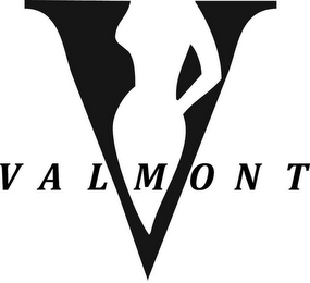 V VALMONT logo