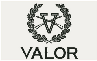 V VALOR logo