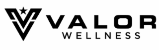 V VALOR WELLNESS logo