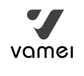 V VAMEI