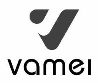 V VAMEI logo