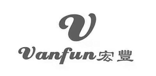 V VANFUN logo