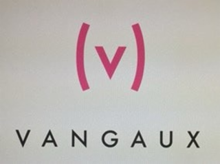 (V) VANGAUX logo